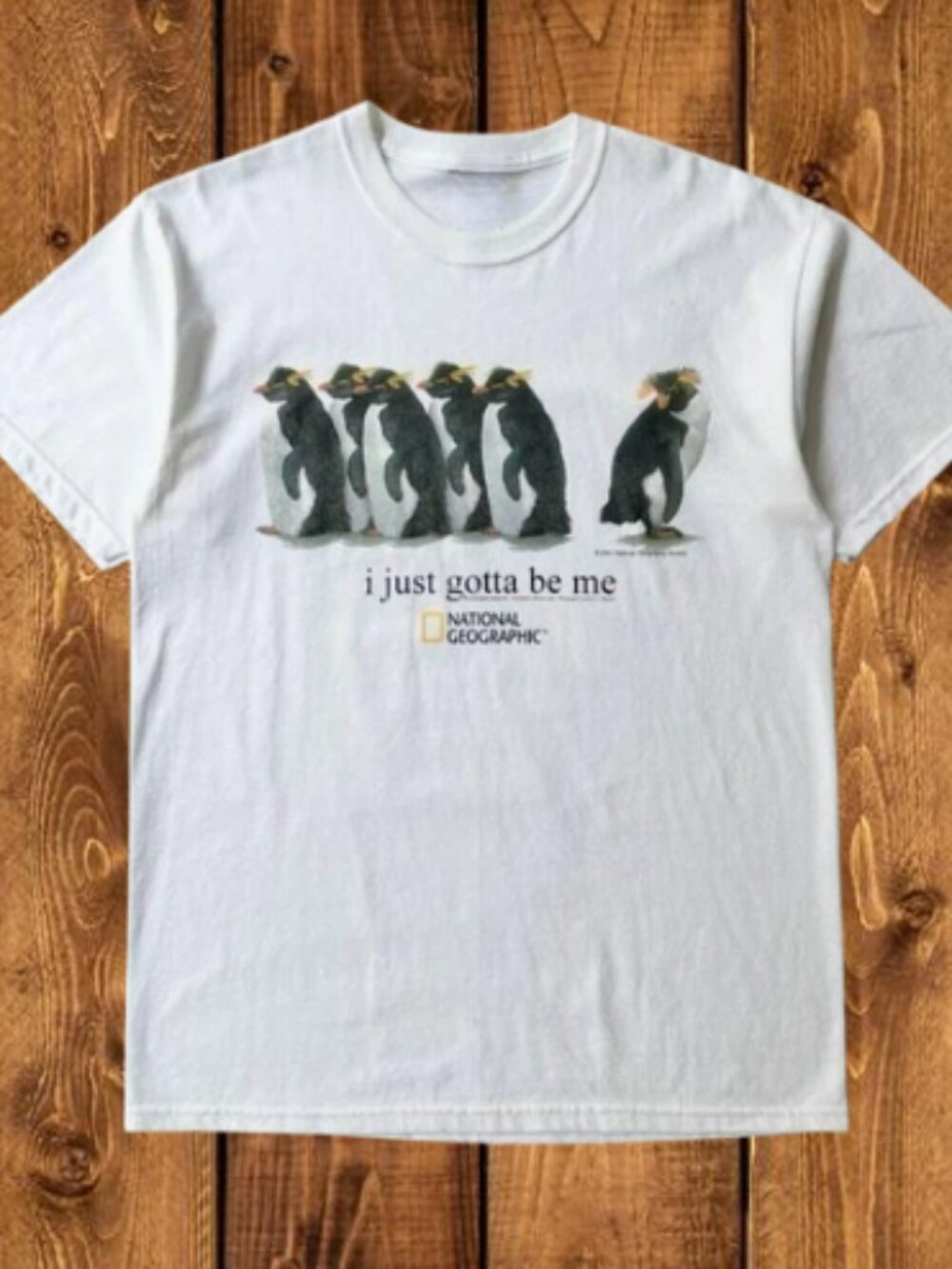 I Just Gotta Be Me Penguins Unisex Shirt national geographic T-Shirt